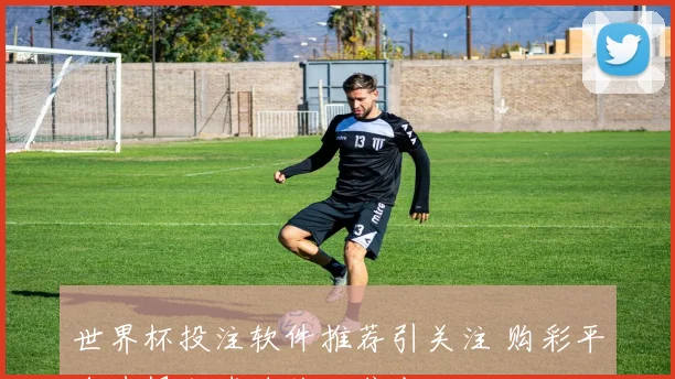 世界杯投注软件推荐引关注 购彩平台选择成球迷关注焦点