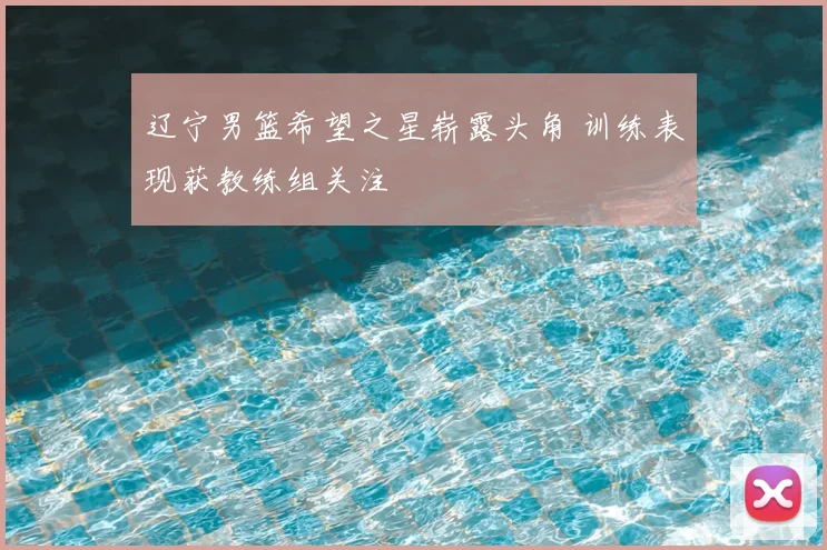 辽宁男篮希望之星崭露头角 训练表现获教练组关注