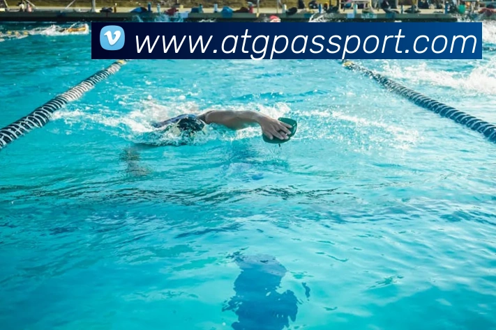 多媒体互动体验